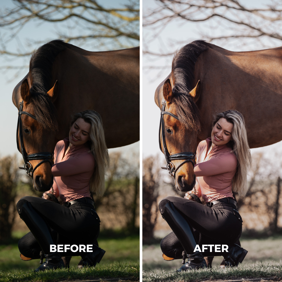 Light Natural Horse