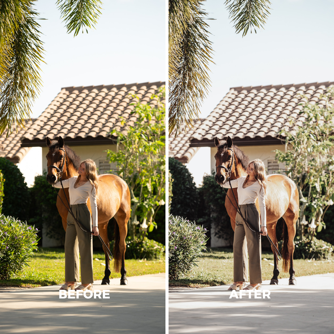 Light Natural Horse