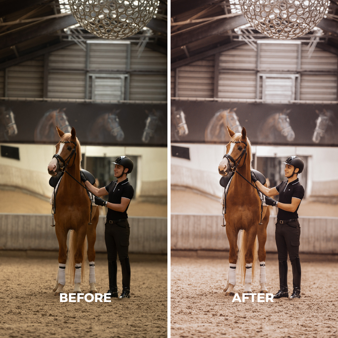Light Natural Horse