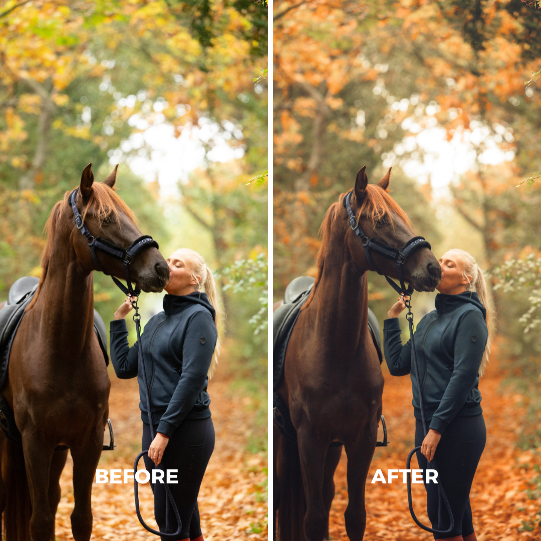 Autumn XL