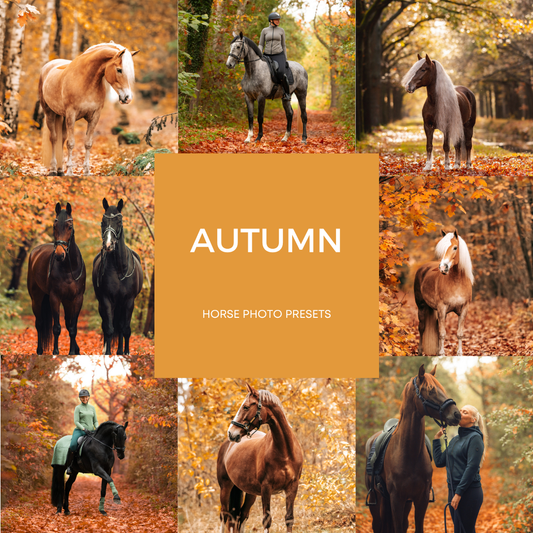 Autumn XL