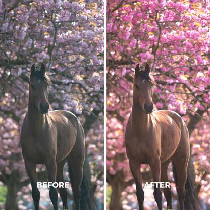 Pink Blossom