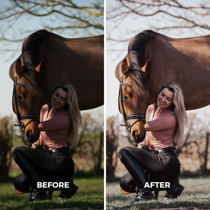 Light Natural Horse