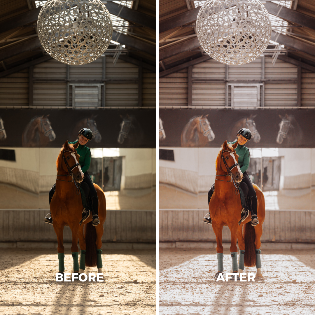 Indoor Arena