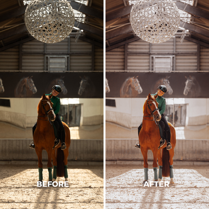 Indoor Arena