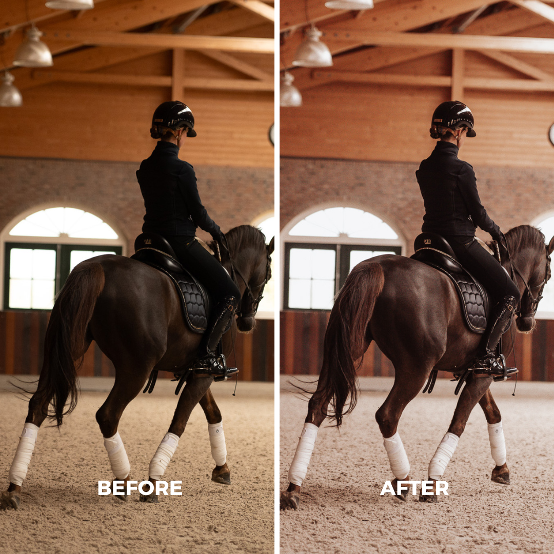 Indoor Arena