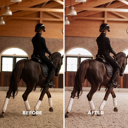 Indoor Arena