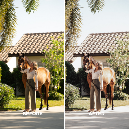 Light Natural Horse