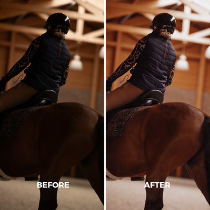 Indoor Arena