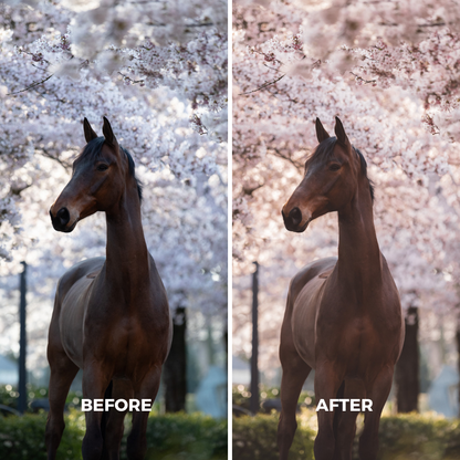 Pink Blossom