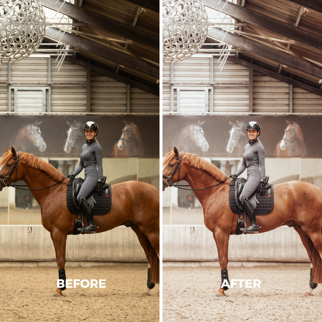 Indoor Arena