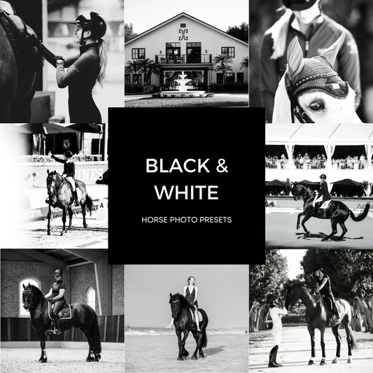 Black & White XL