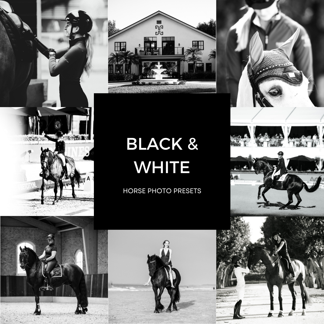Black & White XL