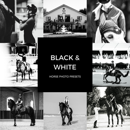 Black & White XL