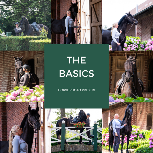 The Basics