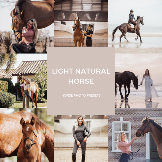 Light Natural Horse