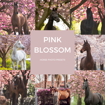 Pink Blossom
