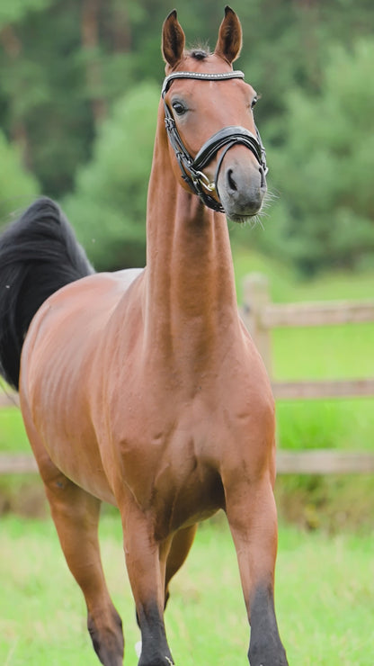 Natural - Premiere Pro