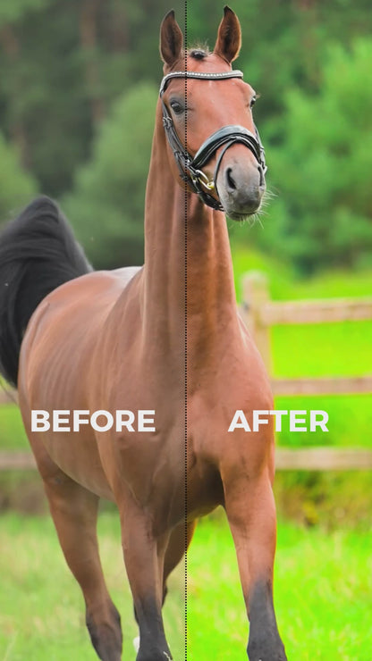 Vibrant - Premiere Pro